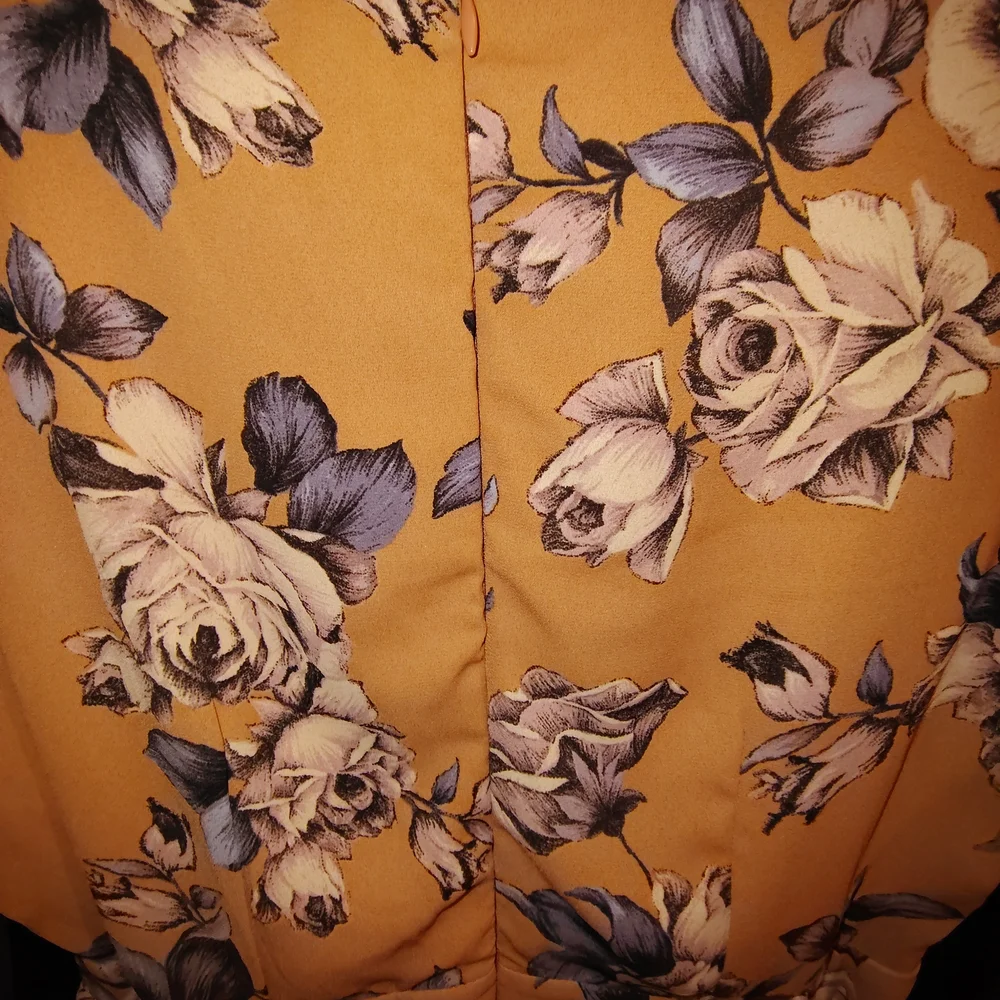 Sienna Sky Tan and Blue Floral Dress S New Nwot